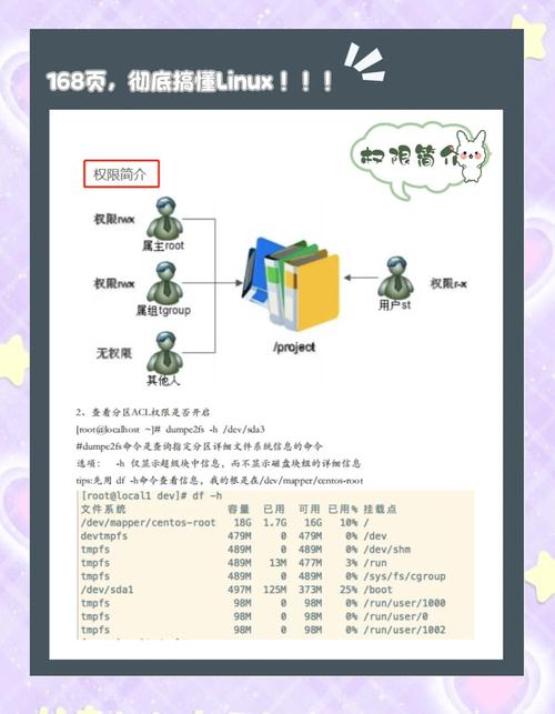PE烧录Linux，从入门到精通的全方位指南？PE能烧录Linux系统吗？PE也能装Linux？
