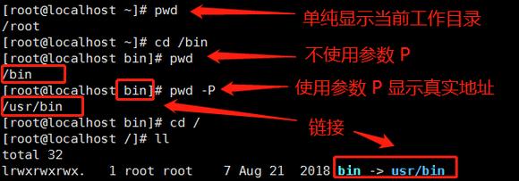 Linux退出pwd，理解与正确使用命令？如何正确退出pwd命令？如何退出pwd命令？