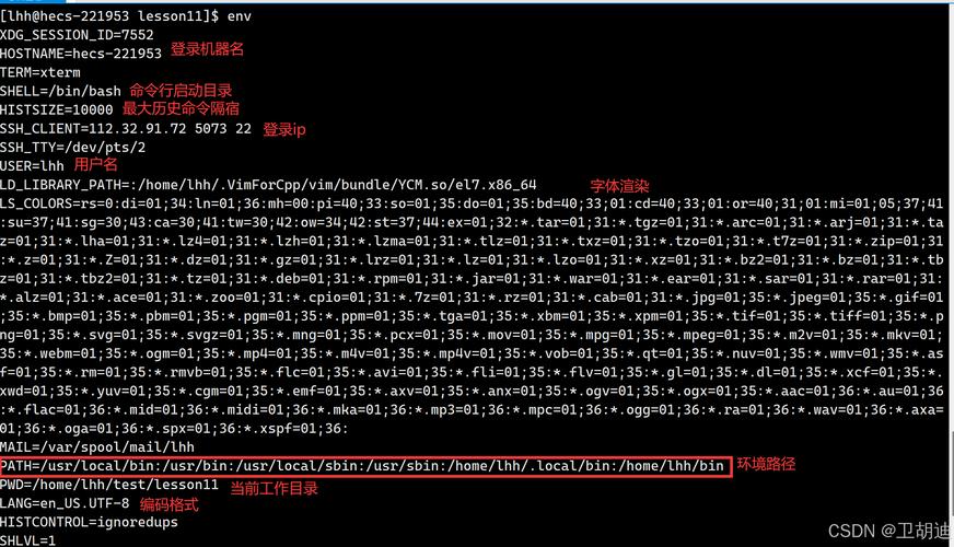Linux环境变量导出与编码问题详解？Linux变量导出为何乱码？Linux变量导出为何乱码？
