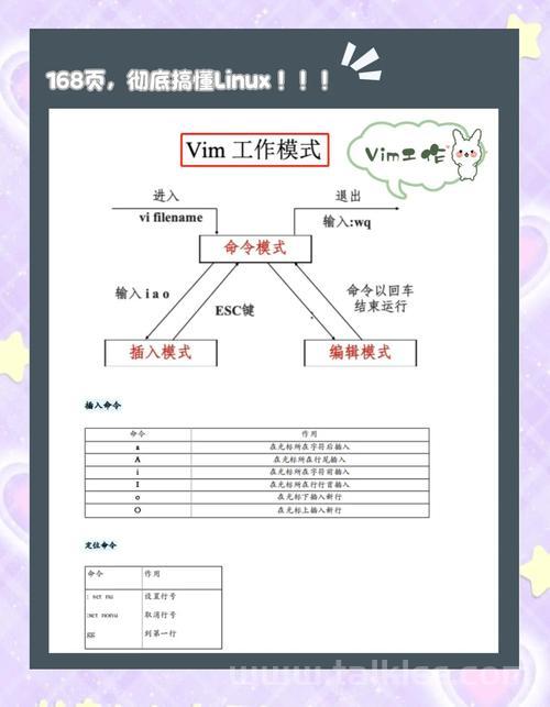 常用Linux端口详解，从基础到实践？Linux端口有哪些必知要点？这些Linux端口你掌握了吗？