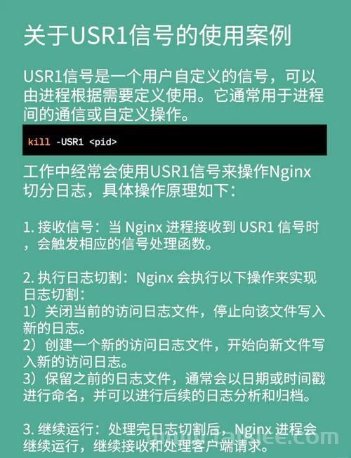 深入解析Linux中的kill函数，原理、用法与实践？kill函数真的安全吗？kill函数会误杀进程吗？