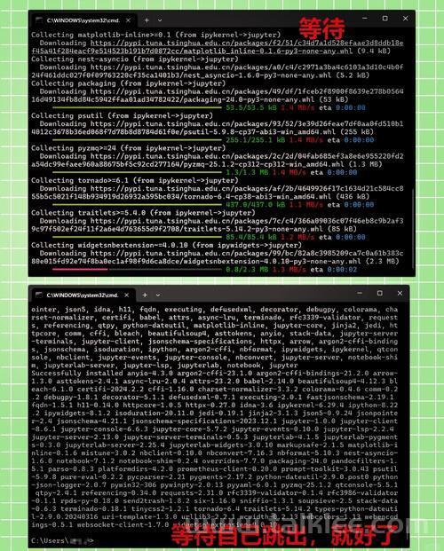 Jupyter Notebook 安装指南（Windows/macOS/Linux）