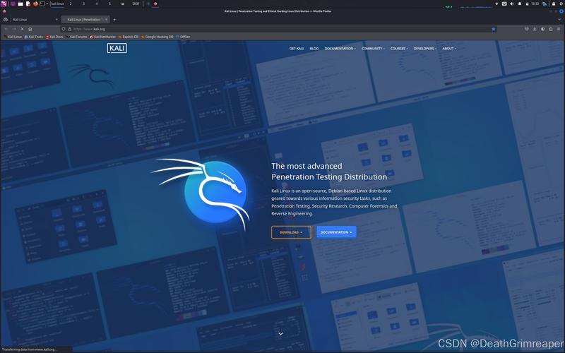 Kali Linux Pad，便携式渗透测试与安全研究的终极工具？Kali Linux Pad真是黑客神器？Kali Linux Pad真是黑客必备？