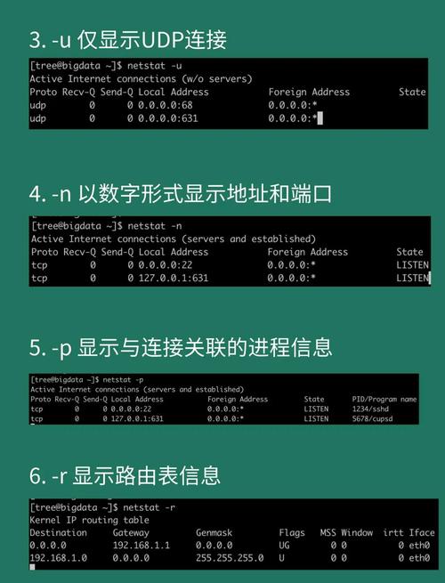 Linux命令w f详解，实时监控系统用户活动？w命令能监控哪些用户活动？w命令能监控哪些用户活动？