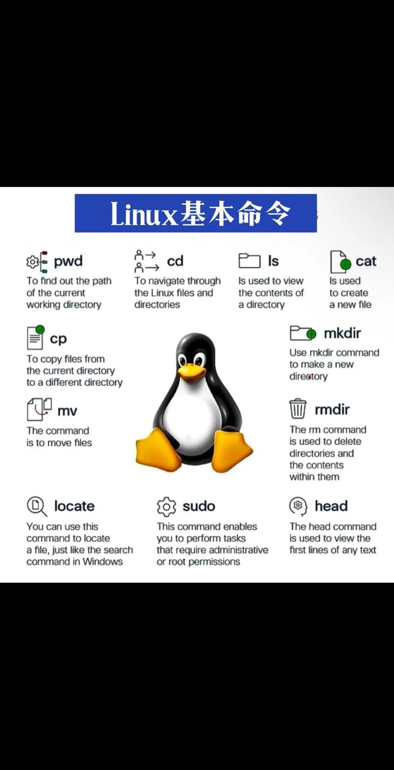 Linux命令，探索系统信息与状态的关键工具？Linux命令能看透系统状态？Linux命令如何洞察系统状态？