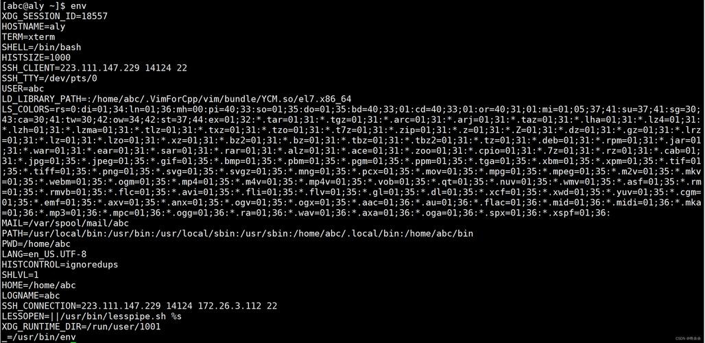 深入理解Linux中的printenv命令，环境变量管理与应用？printenv命令怎么用？printenv到底怎么用？
