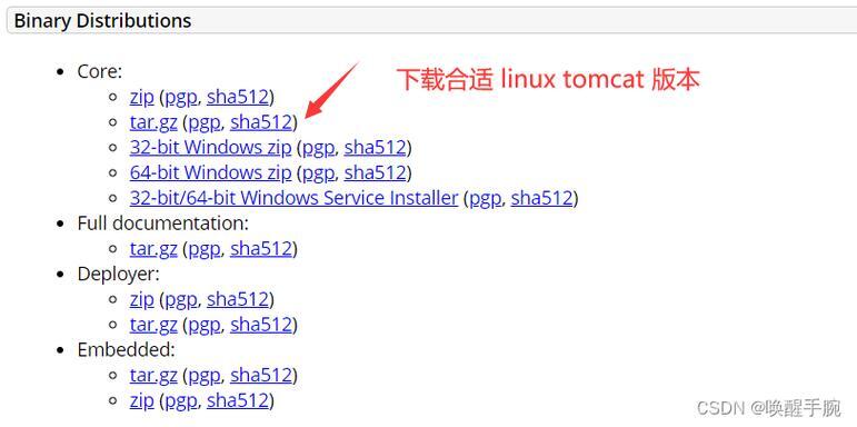 Linux环境下Tomcat服务器地址配置与管理详解？如何配置Tomcat服务器地址？Tomcat地址怎么配？