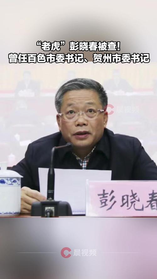 彭晓春被查？彭晓春涉嫌违纪被查？