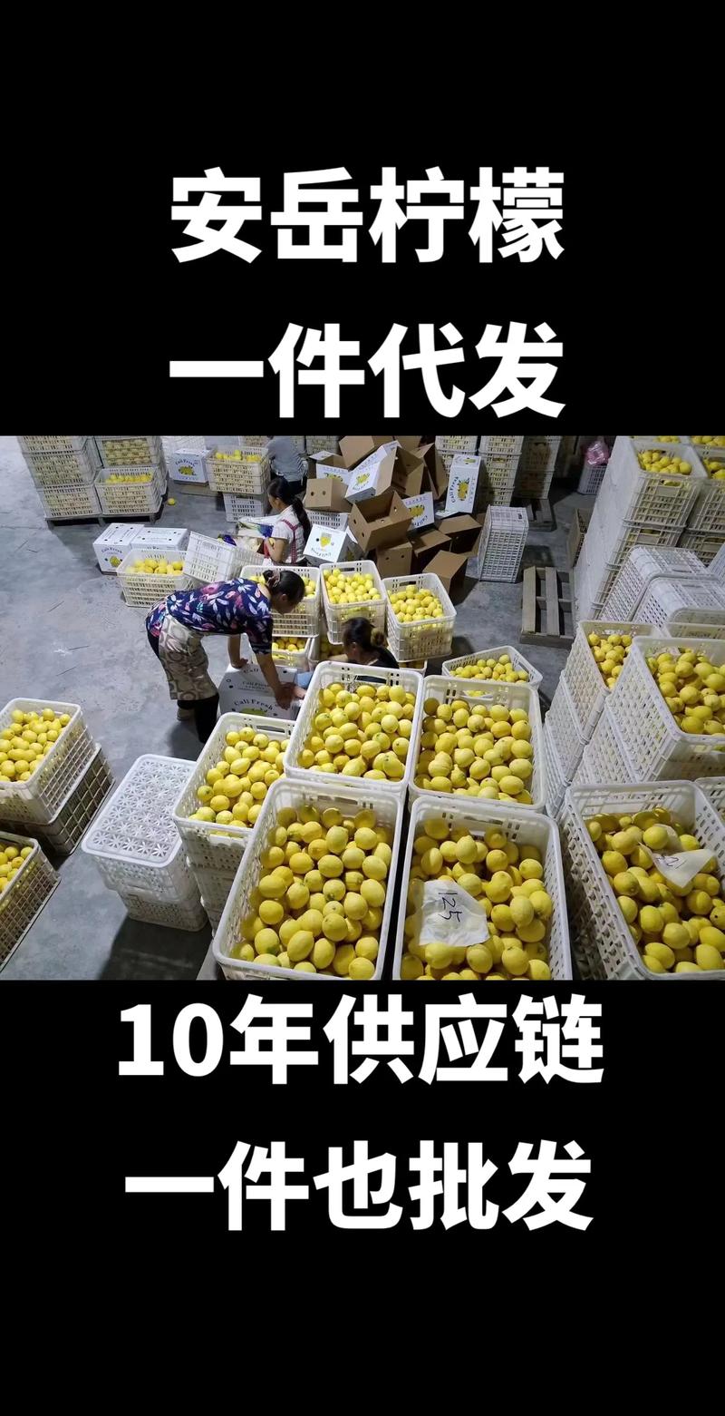 柠檬价格飙涨似黄金？柠檬价格飙升，黄金般的投资魅力？