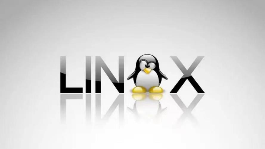 Linux超级系统，开源世界的强大基石？Linux为何称霸开源世界？Linux凭何统治开源界？