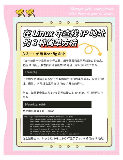 Linux环境下淘宝IP地址的获取与应用？淘宝IP如何获取并应用？淘宝IP怎么查？Linux下能用吗？