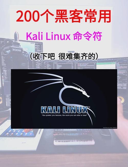 Kali Linux LXDE，轻量级渗透测试环境的完美选择？Kali LXDE真能兼顾轻量与高效？Kali LXDE，轻量又高效？