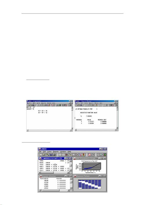 Lindo 1.1 for Linux，一款高效的线性规划与优化工具？Lindo 1.1能优化Linux性能吗？Lindo 1.1真能提升Linux效率？