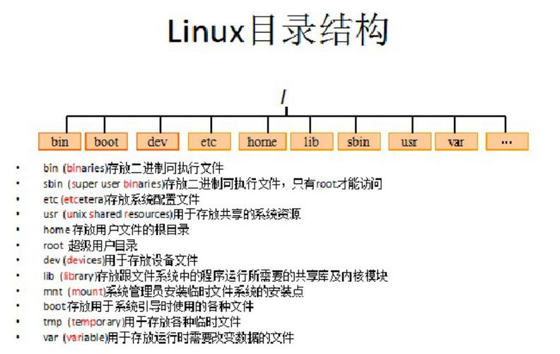 深入理解Linux中的/usr目录及其相关命令？Linux的/usr目录有什么用？Linux的/usr目录藏着哪些秘密？