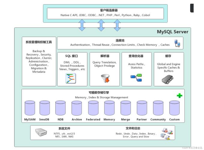 国内MySQL专用服务器，高性能数据库解决方案的全面解析？MySQL服务器为何这么强？MySQL服务器为何这么强？