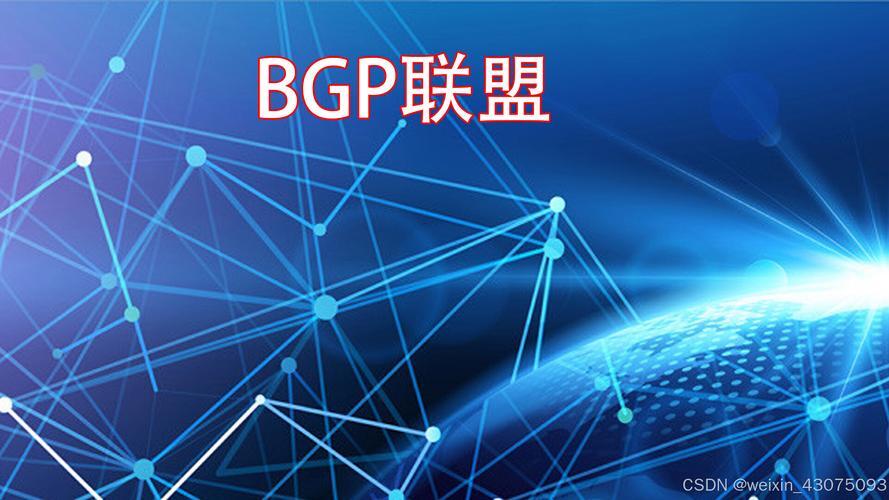 北京BGP服务器，企业数字化转型的核心网络基石？BGP服务器为何成转型关键？BGP服务器真是企业转型命脉？