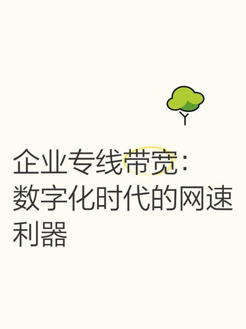 国内专线接入服务器，企业数字化征程的稳健基石？企业专线接入，数字化转型的关键？