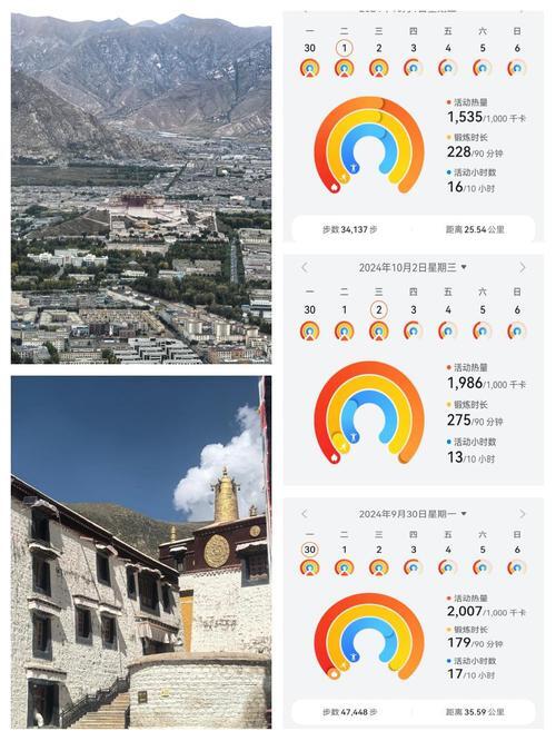 拉萨服务器延迟，数字时代的高原挑战与应对之道？数字时代，高原服务器为何延迟？数字时代，高原服务器为何延迟？