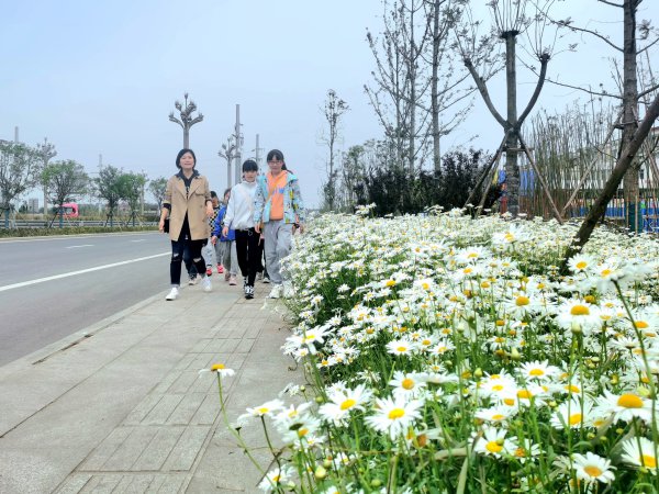 仁寿的房子在眉山天府新区备案吗