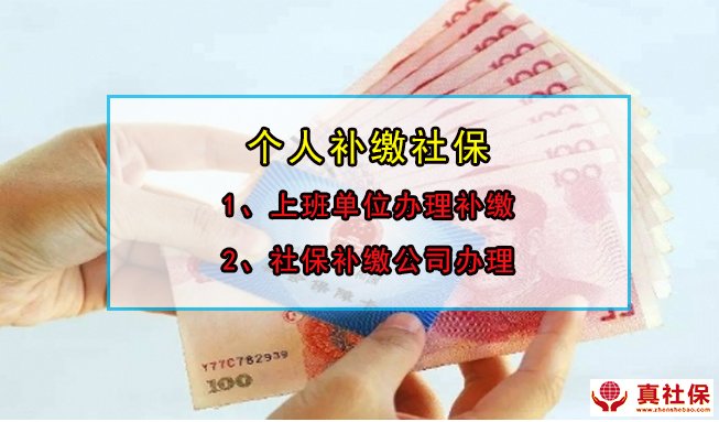 补交社保备案需要哪些手续
