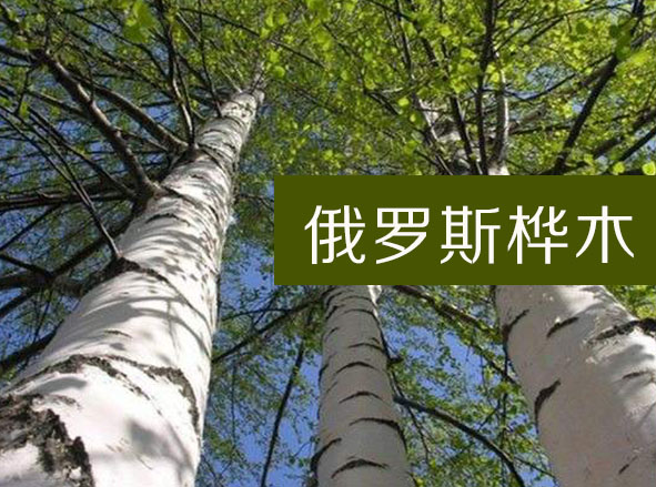 小杉命力葡萄籽有国家备案吗