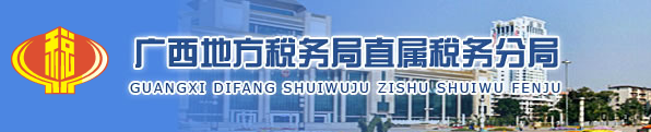 广西电子税务局分支机构备案
