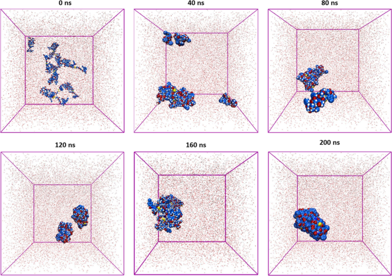 做分子动力学模拟对主机的要求