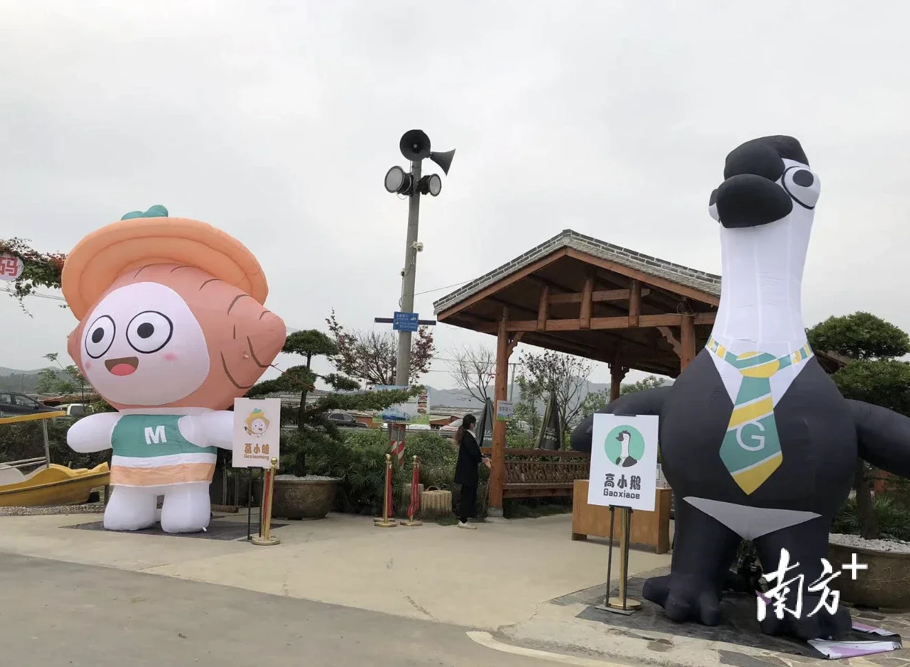 高明房产备案信息官网