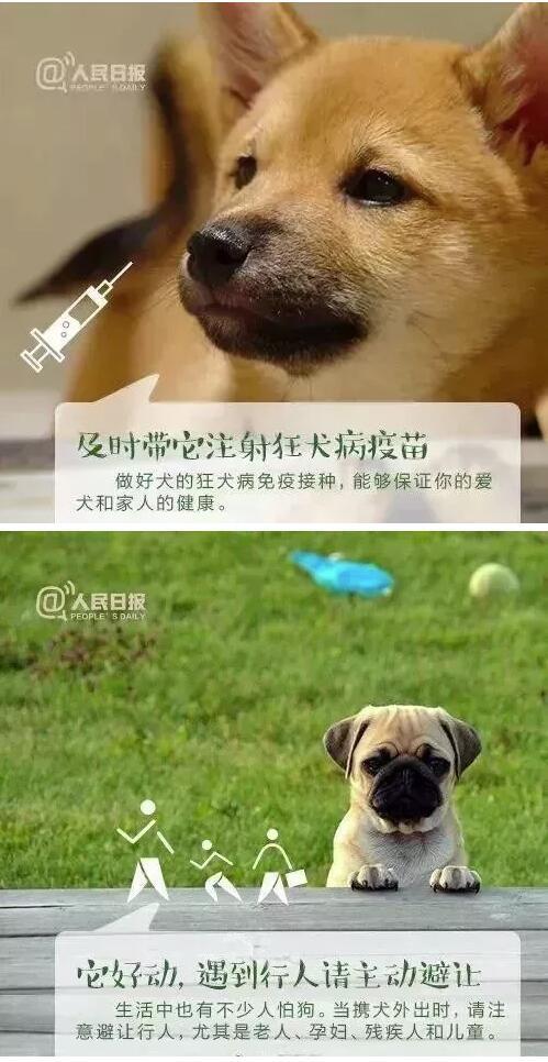 禁养犬去公安备案