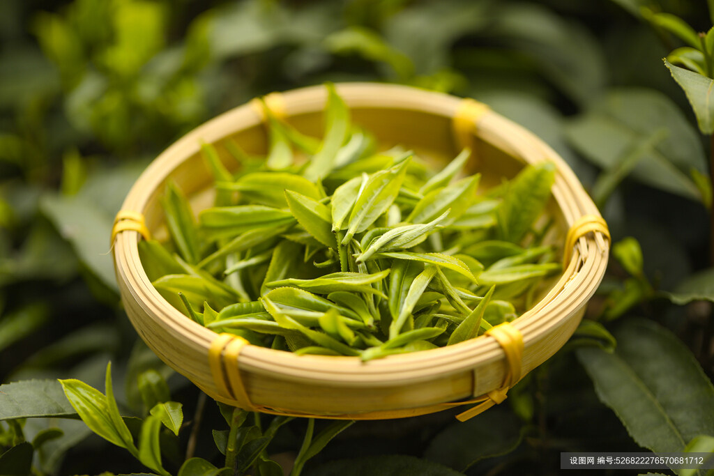 茶叶属于食品吗?需不需要备案