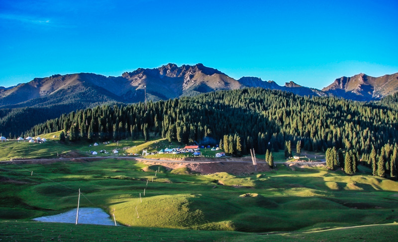 昌吉北京路110备案密码锁售后