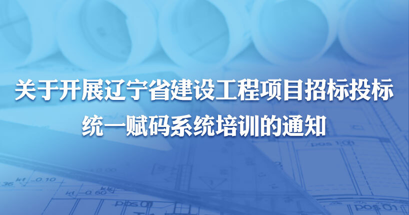 辽宁信息化网站建设包括什么