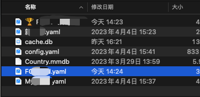 使用clash群晖无法解析域名