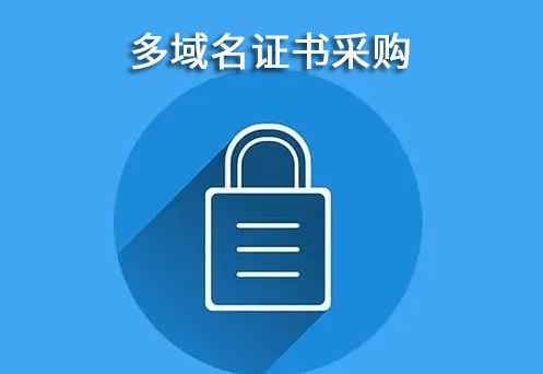 ssl安全证书只能认证一个子域名吗