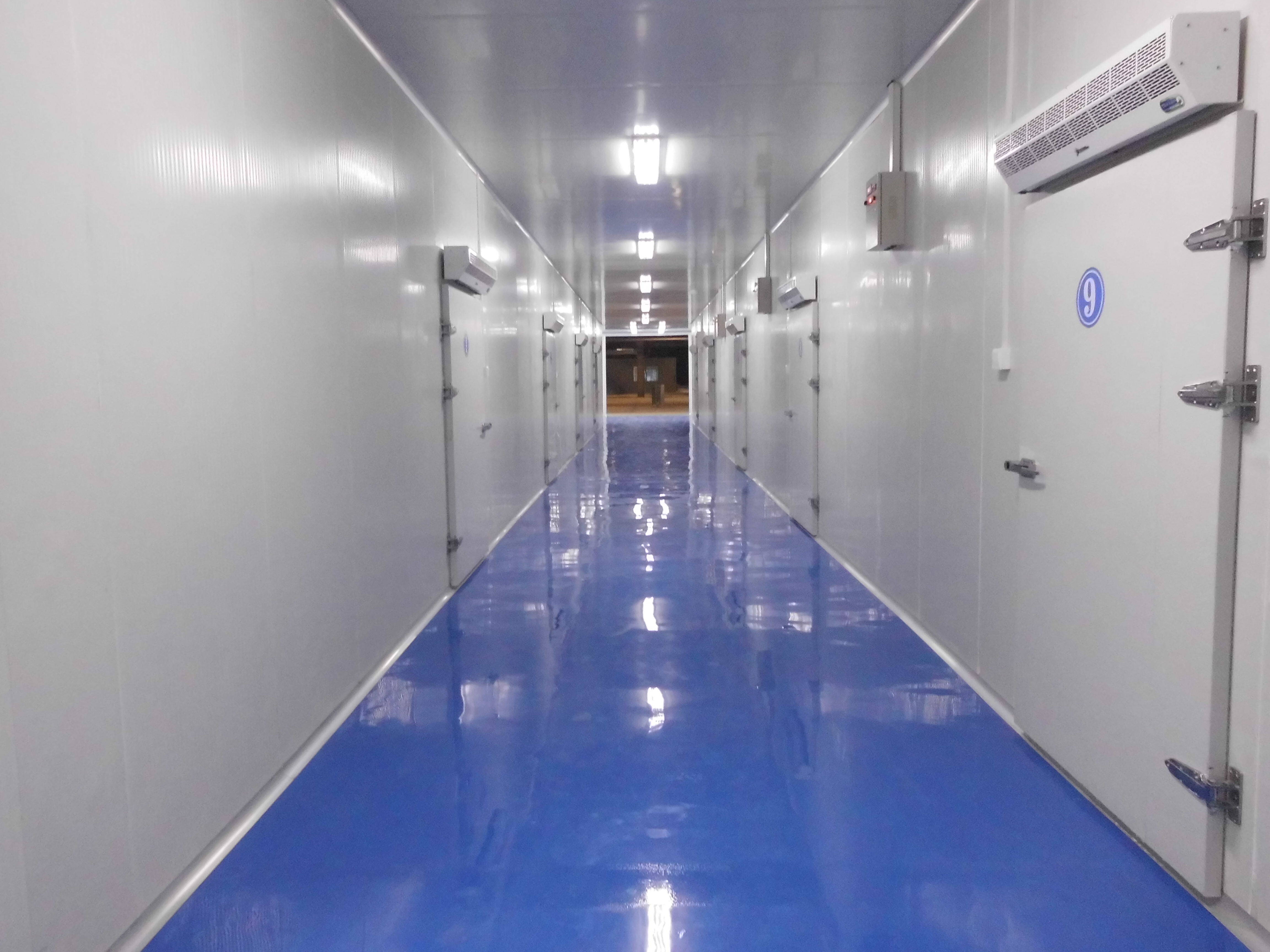 冷库主机不启动