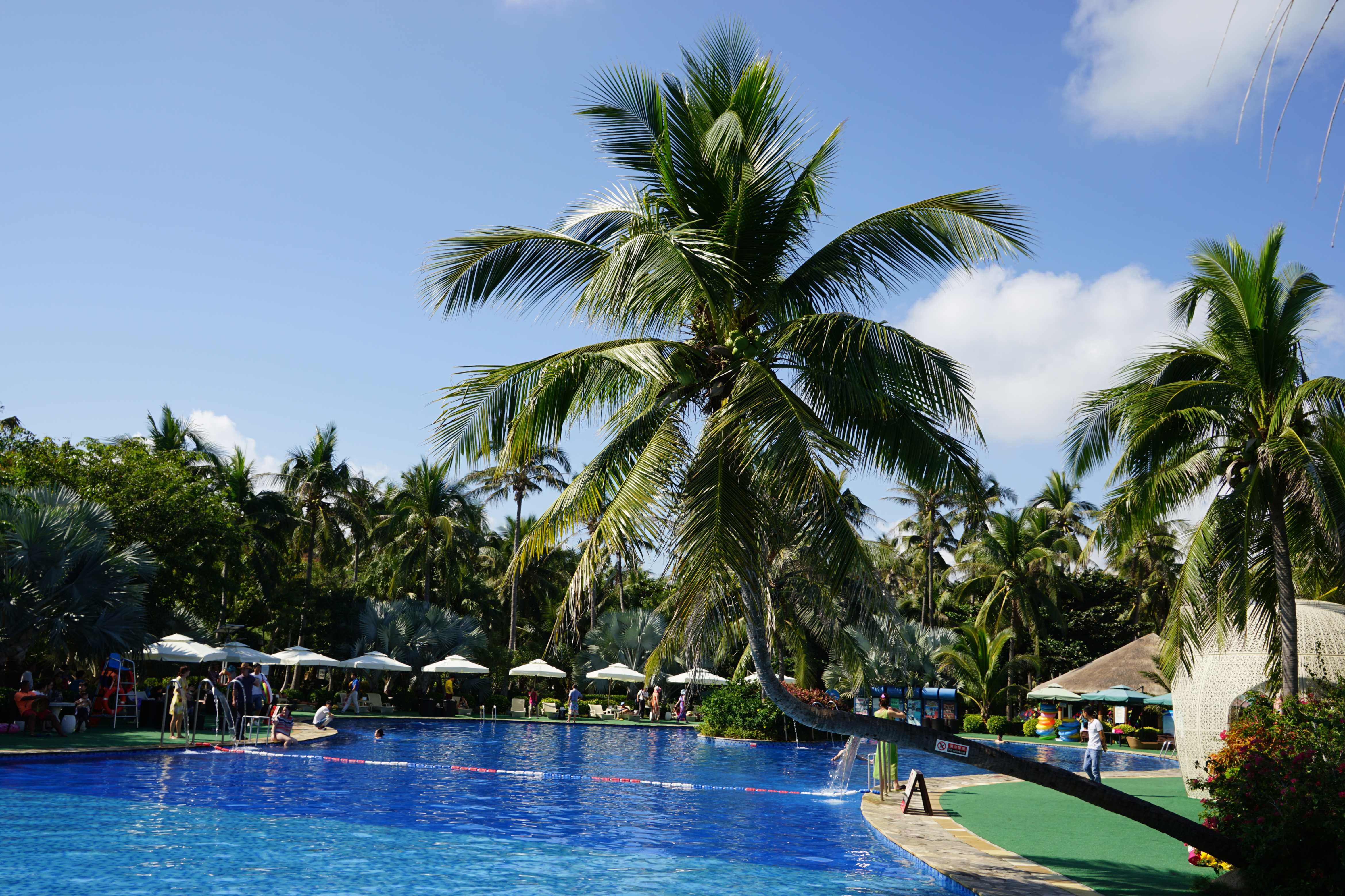 海南dns服务器托管物理机