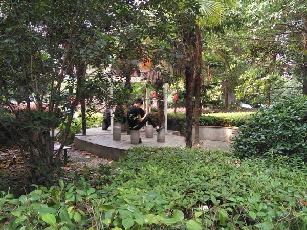 蔡甸中建锦绣楚城1号楼备案价