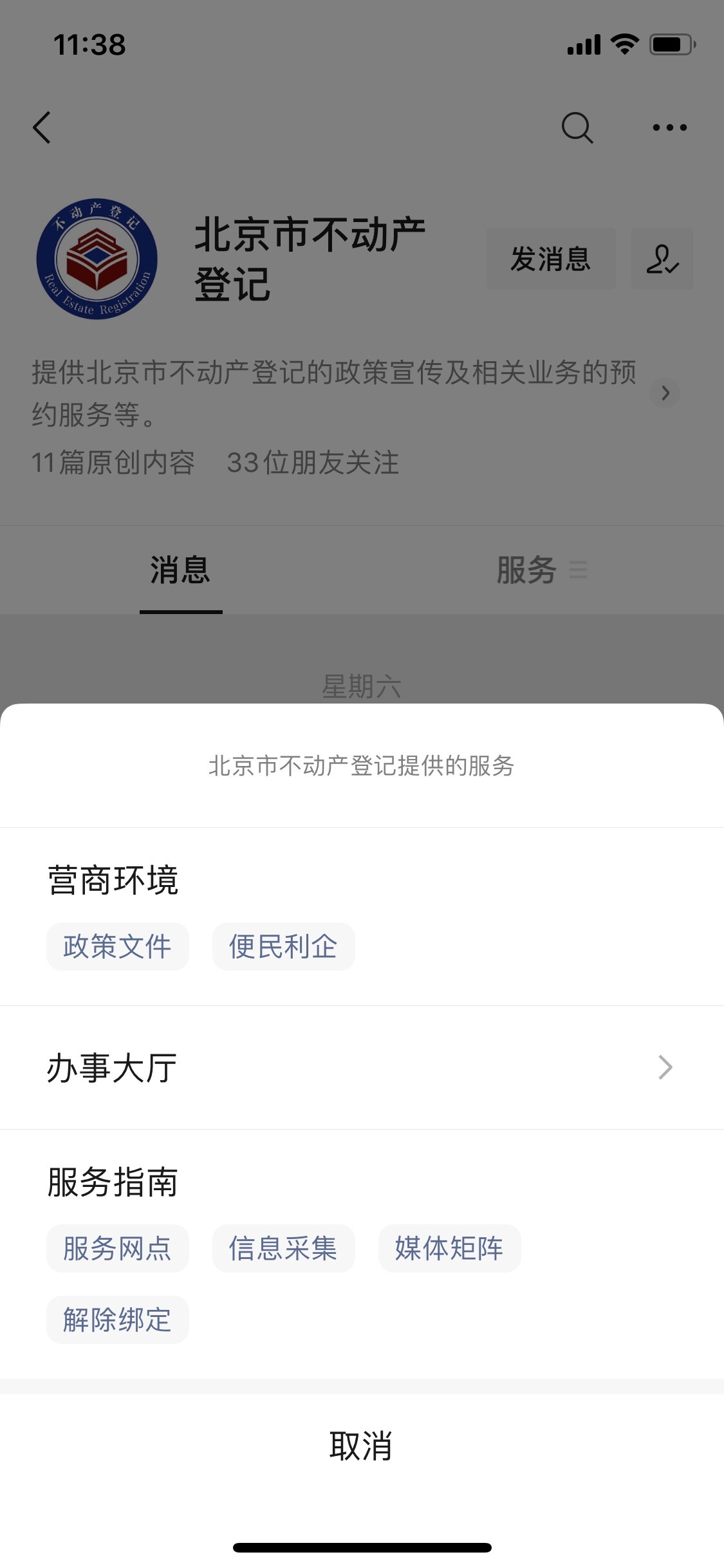 和平区沈北红豆杉备案