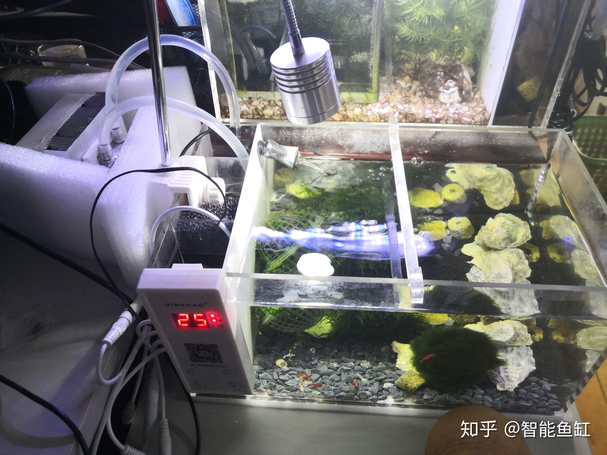水冷鱼缸主机如何安装最好