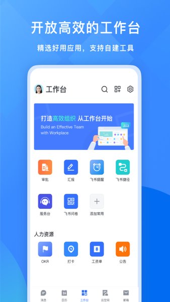 飞书怎么看企业域名