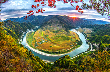 白山市政府门户网站建设现状