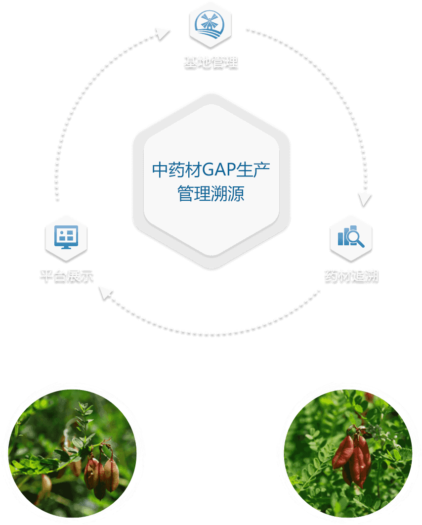 中药材gap备案管理办法