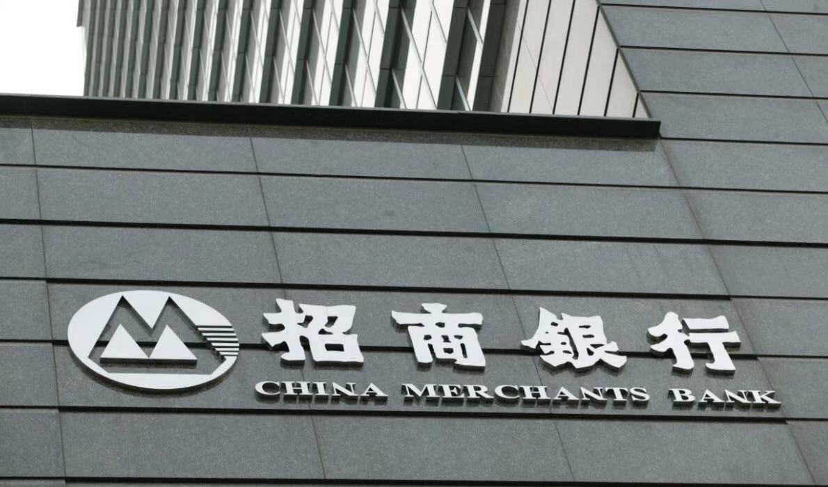 招商网站建设制作网络公司