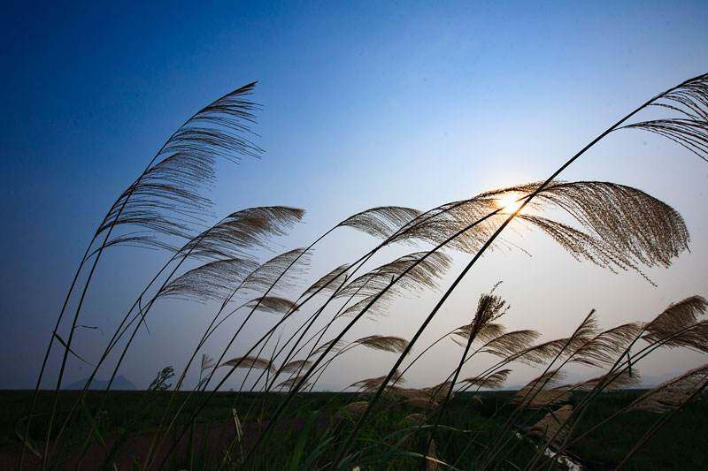风电十大主机厂家