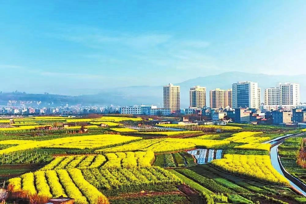 农业户口的备案证明去哪办