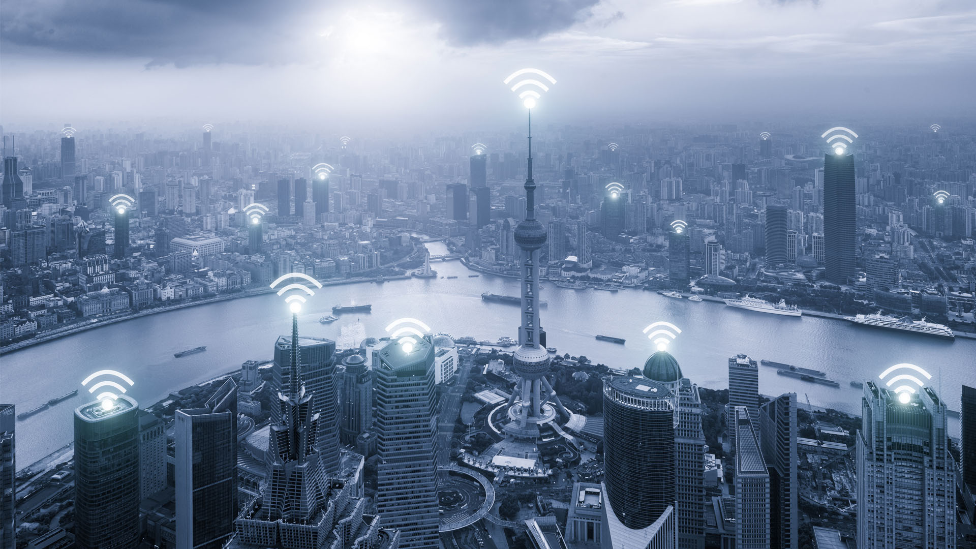 上海网站建设服务提供商
