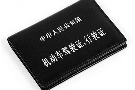 怎么查询驾驶证的备案编号几位数