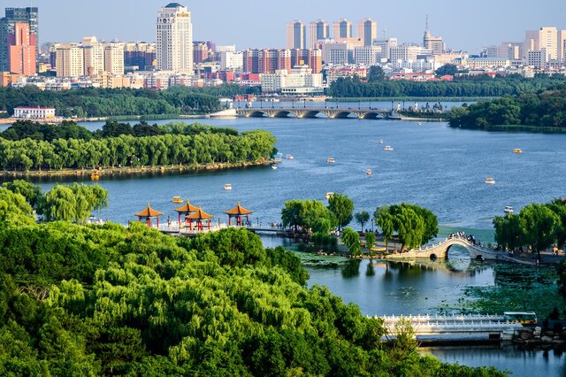 长春市种子备案需要什么手续