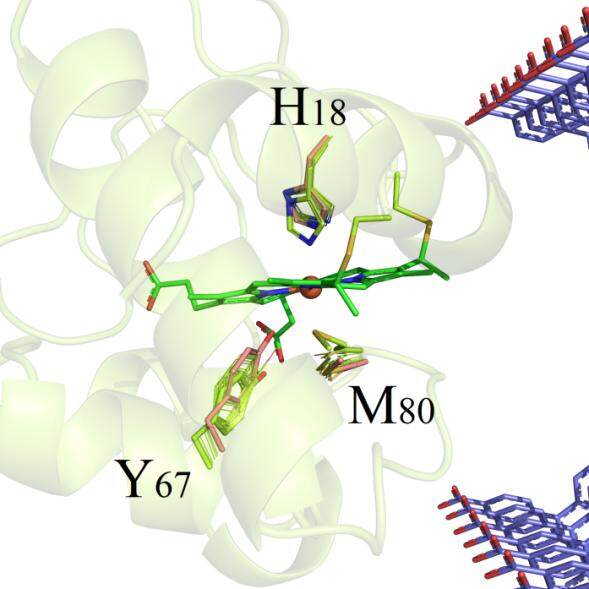 做分子动力学模拟对主机的要求