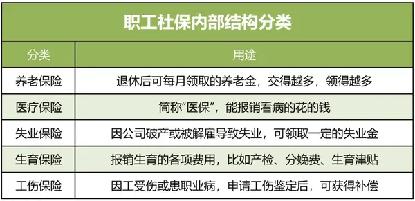 备案制社保类型